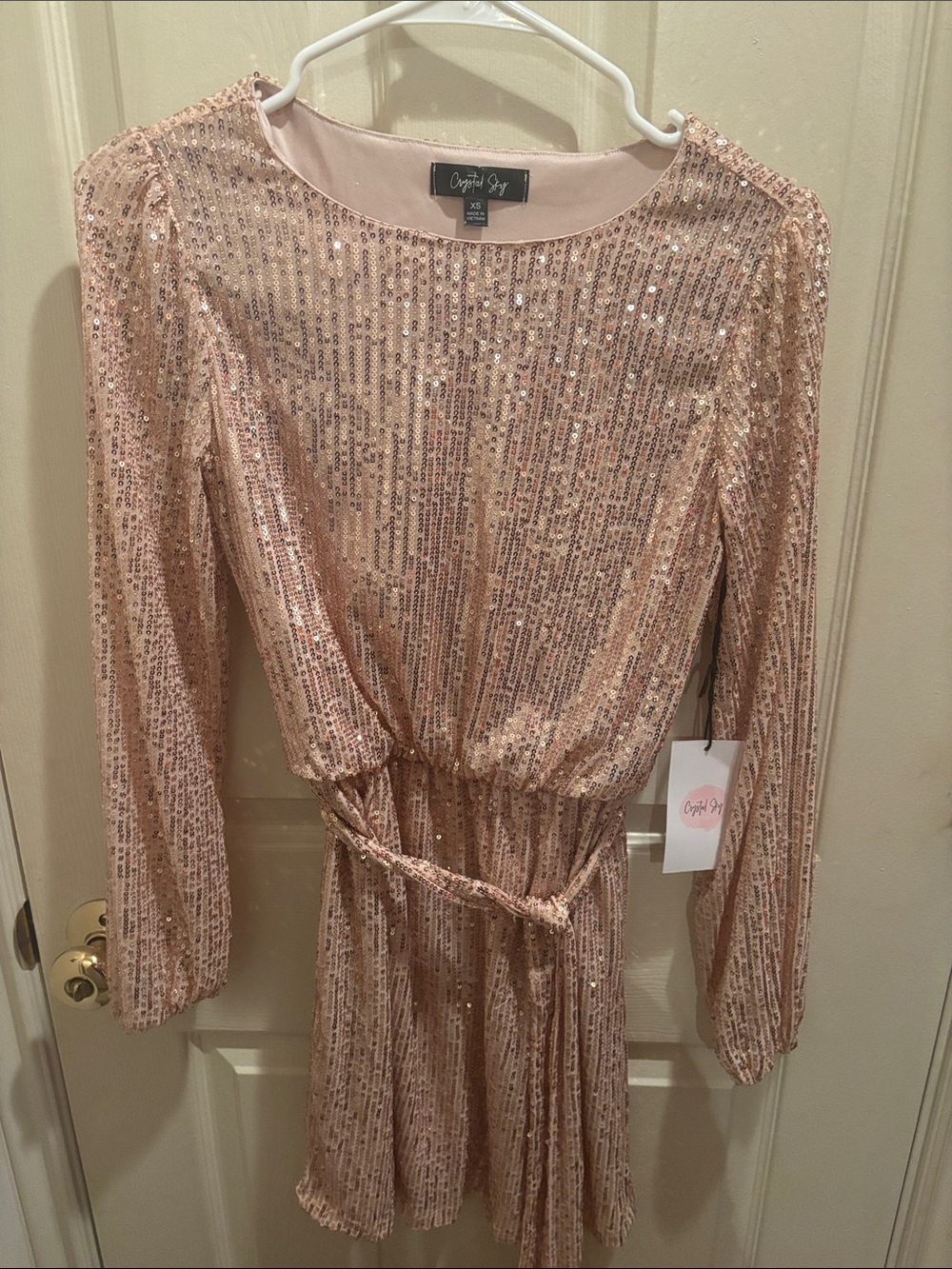 Cynthia Rowley Pink Rose Sequin Long-Sleeve Mini Dress, size xs, falls on knees